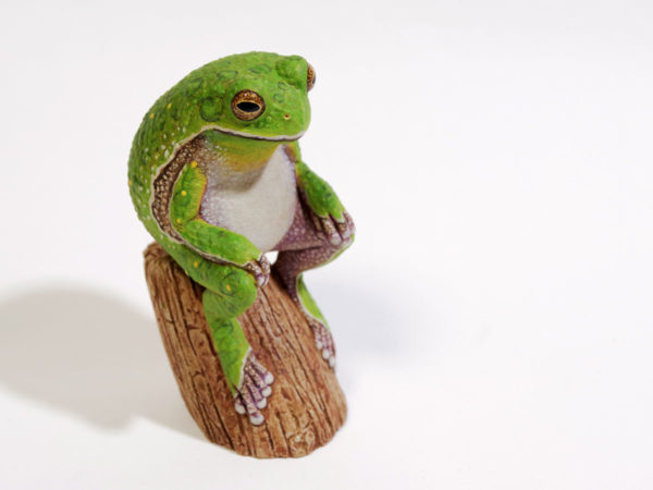ホエアマガエル,Barking tree frog