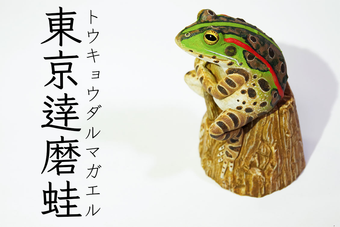 新作「トウキョウダルマガエル」
